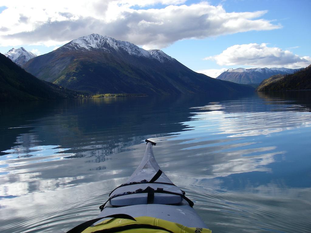 Arctic Paradise B&B Seward Exterior foto